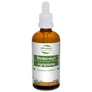 Motherwort