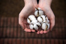 Organ(y)c Beauty Cotton Balls · 100 pcs.