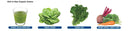 Raw Organic Protein & Greens Vanilla · 550 g