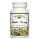 Siberian Ginseng