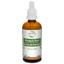 Burdock Root