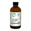 Astragalus