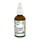 Astragalus