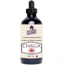 Chaga Extract