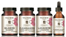 HERBAL D-TOX