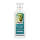 Everyday Shampoo