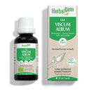 G61 VISCUM ALBUM (Mistletoe - Young shoots) · 30 mL