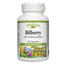 Bilberry · 90 Capsules