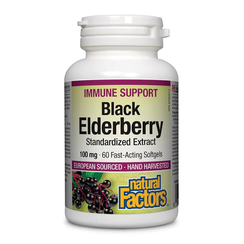 Black Elderberry 100 mg