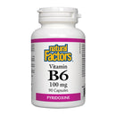 Vitamin B6 100 mg · 90 Capsules