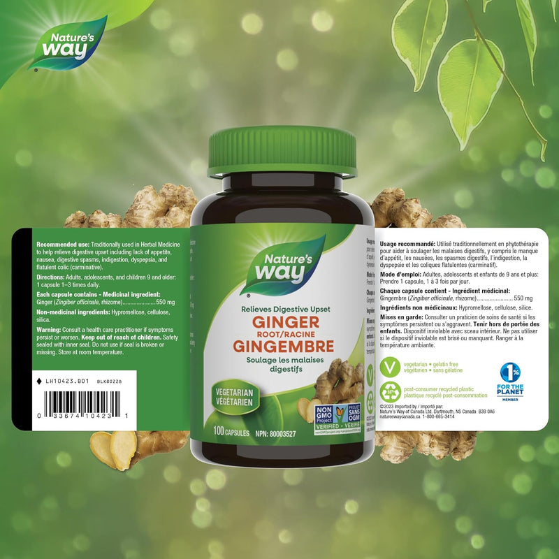 Ginger Root · 100 Capsules