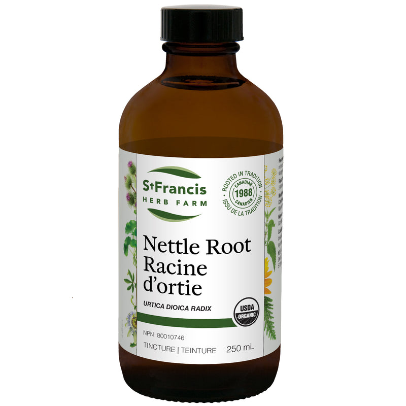 Nettle Root