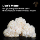 MycoVeda™ Cognition · 60 Capsules