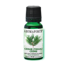 Cedar Essential Oil