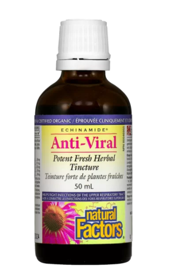 ECHINAMIDE · Anti-Viral · Potent Fresh Herbal Tincture