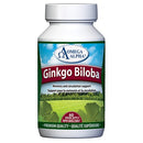 Ginkgo Biloba