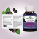 Sambucus Elderberry Gummies · 60 Gummies
