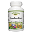 Dandelion Root