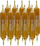 Flux-O-Bile · 10 Ampoules