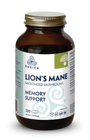 LION'S MANE · Memory Support