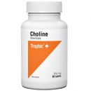 Choline Bitartrate