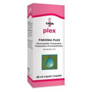Paeonia Plex