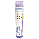 Euphrasia officinalis 30 CH